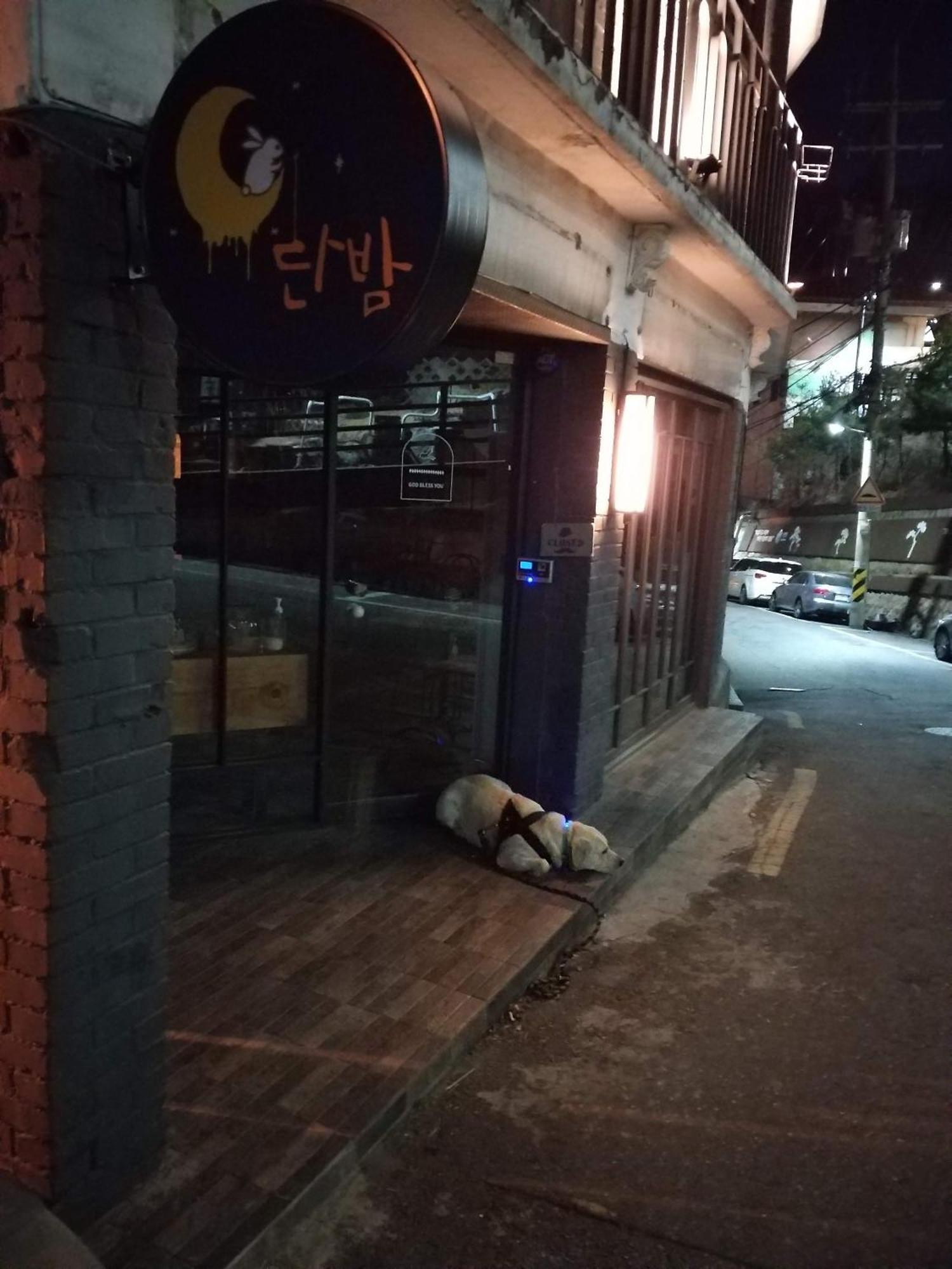 Newly Renovated 2 Bedroom Apartment #7 Seoul Exterior photo