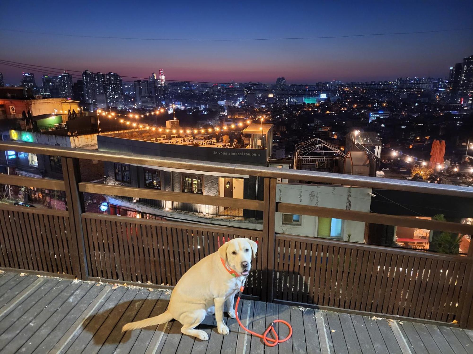 Newly Renovated 2 Bedroom Apartment #7 Seoul Exterior photo